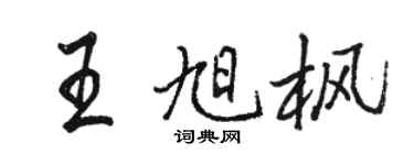 駱恆光王旭楓行書個性簽名怎么寫