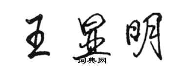 駱恆光王顯明行書個性簽名怎么寫