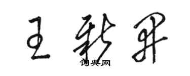 駱恆光王新開草書個性簽名怎么寫