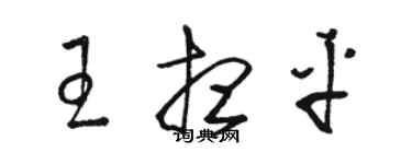 駱恆光王想平草書個性簽名怎么寫