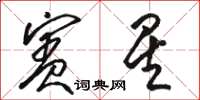 駱恆光賓星草書怎么寫