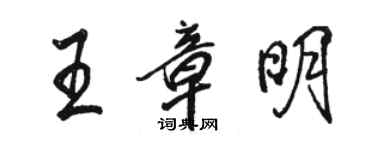 駱恆光王章明行書個性簽名怎么寫