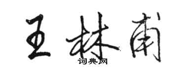 駱恆光王林甫行書個性簽名怎么寫