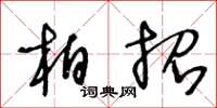 王冬齡柏招草書怎么寫