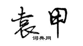 曾慶福袁甲行書個性簽名怎么寫