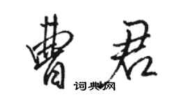 駱恆光曹君行書個性簽名怎么寫