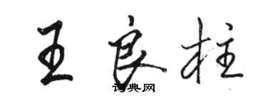 駱恆光王良柱行書個性簽名怎么寫