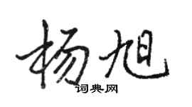 駱恆光楊旭行書個性簽名怎么寫