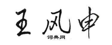駱恆光王風申行書個性簽名怎么寫