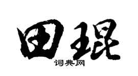 胡問遂田琨行書個性簽名怎么寫