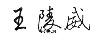 駱恆光王陵威行書個性簽名怎么寫