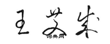 駱恆光王艾成草書個性簽名怎么寫