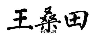 翁闓運王桑田楷書個性簽名怎么寫