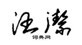 朱錫榮汪潔草書個性簽名怎么寫