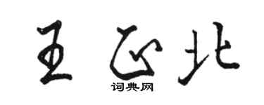 駱恆光王正北行書個性簽名怎么寫