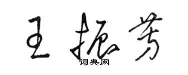 駱恆光王振芳草書個性簽名怎么寫