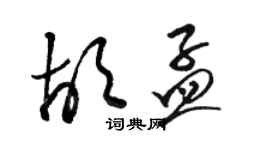 駱恆光胡孟草書個性簽名怎么寫