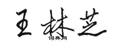 駱恆光王林芝行書個性簽名怎么寫