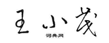 駱恆光王小茂草書個性簽名怎么寫