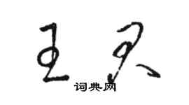 駱恆光王君草書個性簽名怎么寫