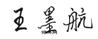 駱恆光王墨航行書個性簽名怎么寫