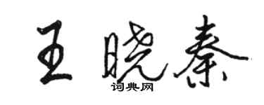 駱恆光王曉秦行書個性簽名怎么寫