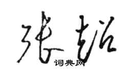 駱恆光張超草書個性簽名怎么寫