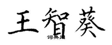 丁謙王智葵楷書個性簽名怎么寫