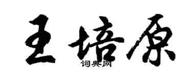 胡問遂王培原行書個性簽名怎么寫