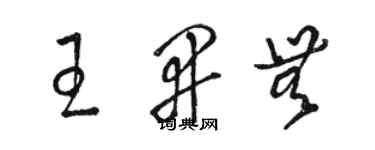 駱恆光王開無草書個性簽名怎么寫