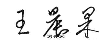 駱恆光王晨果草書個性簽名怎么寫