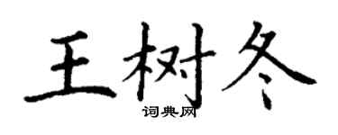 丁謙王樹冬楷書個性簽名怎么寫