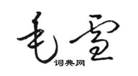 駱恆光毛雪草書個性簽名怎么寫