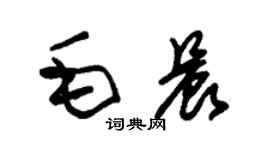 朱錫榮毛晨草書個性簽名怎么寫