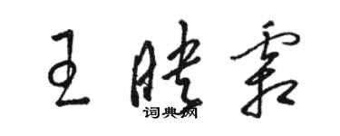 駱恆光王映霜草書個性簽名怎么寫