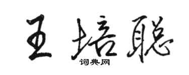 駱恆光王培聰行書個性簽名怎么寫