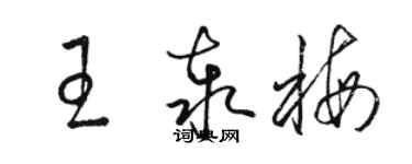 駱恆光王泰梅草書個性簽名怎么寫