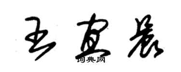 朱錫榮王宜晨草書個性簽名怎么寫