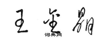 駱恆光王金晶草書個性簽名怎么寫