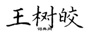 丁謙王樹皎楷書個性簽名怎么寫