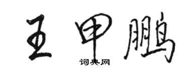 駱恆光王甲鵬行書個性簽名怎么寫