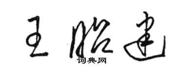 駱恆光王昭建草書個性簽名怎么寫