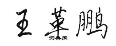 駱恆光王革鵬行書個性簽名怎么寫