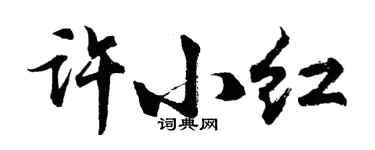 胡問遂許小紅行書個性簽名怎么寫