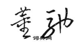 駱恆光董馳草書個性簽名怎么寫