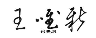 駱恆光王唯新草書個性簽名怎么寫