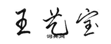 駱恆光王藝寶行書個性簽名怎么寫