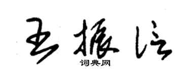 朱錫榮王振信草書個性簽名怎么寫