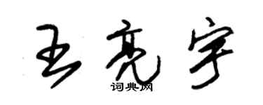 朱錫榮王亮宇草書個性簽名怎么寫