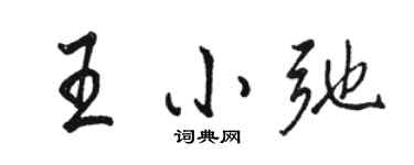 駱恆光王小弛行書個性簽名怎么寫